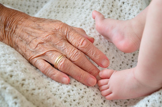 grandparent, rights, family, custody, legal, Oregon