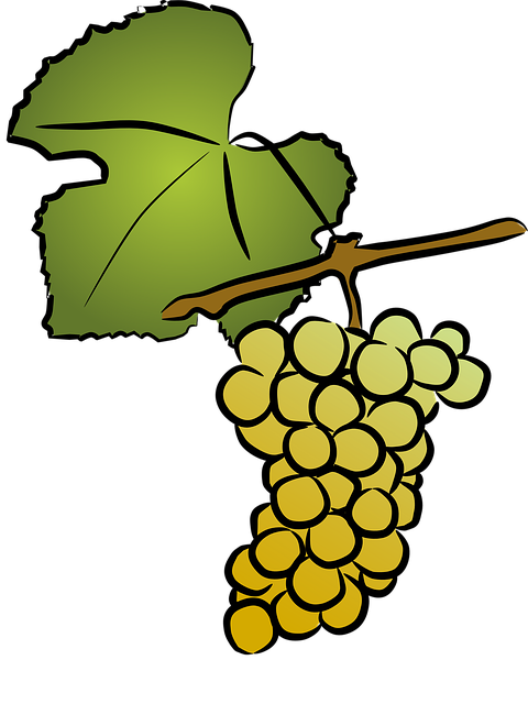 grapes