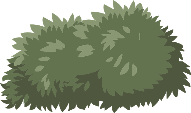 growth