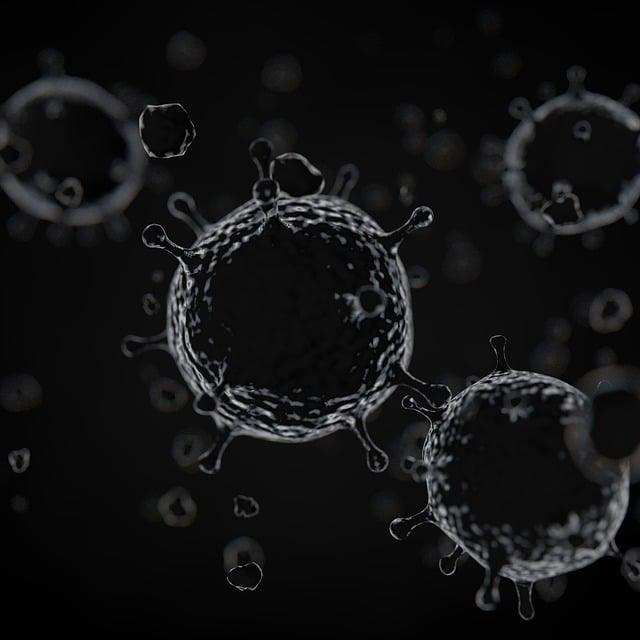 health-allergy-asthma-spores-sickness-re-640x480-53319182.jpeg