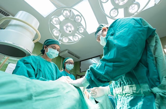 healthcare, screening, professionals, credentials, safety, verification