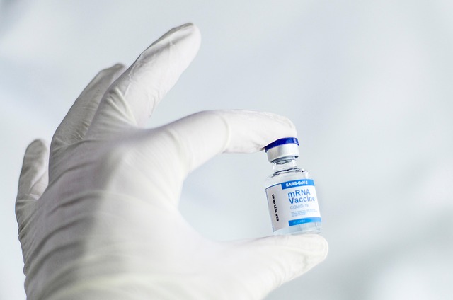 healthcare, screening, professionals, credentials, safety, verification