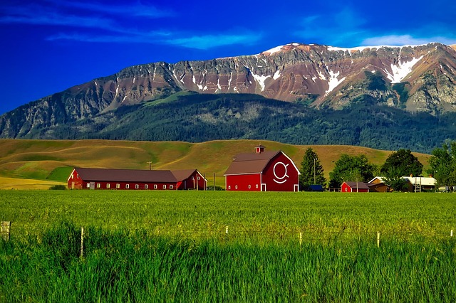 hearings, Oregon, legal, process, commitment, navigate