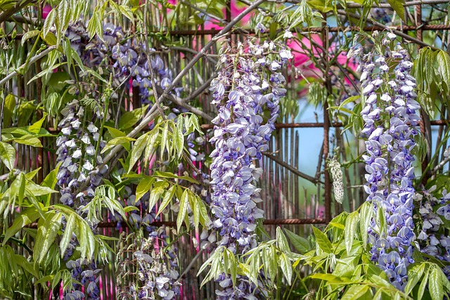 hidden, secret, gems, trails, gardens, art