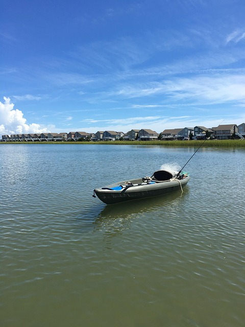 hiking, kayaking, biking, fishing, camping, wildlife