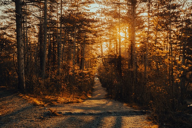 hiking, kayaking, biking, fishing, camping, wildlife