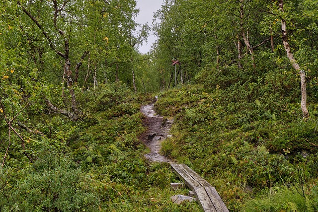 hiking, kayaking, biking, fishing, camping, wildlife