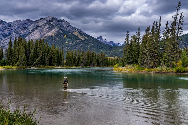 hiking, kayaking, biking, fishing, camping, wildlife