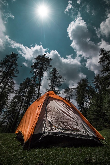 hiking, kayaking, biking, fishing, camping, wildlife