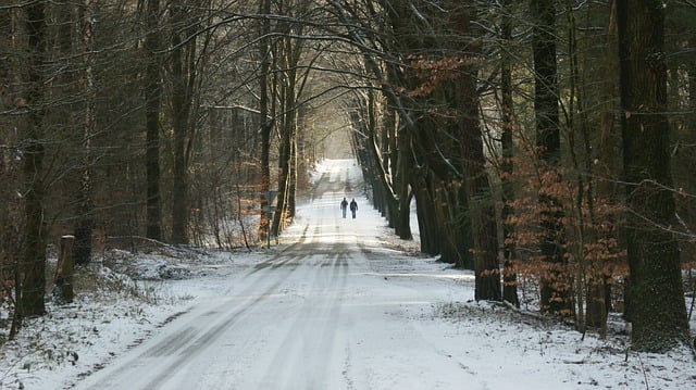 hiking, nature, trails, forest, mountains, adventure