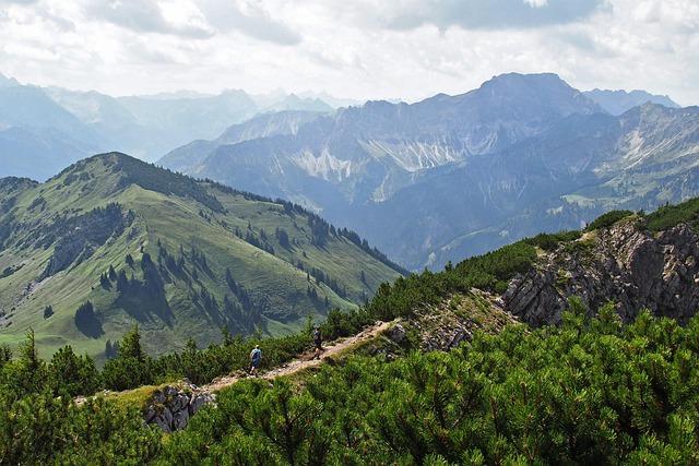 hiking, nature, trails, forest, mountains, adventure