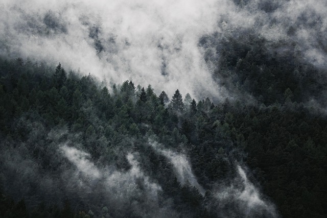 hiking-nature-trails-forest-mountains-ad-640x480-2507459.jpeg