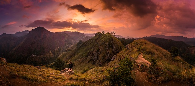 hiking, nature, trails, forest, mountains, adventure