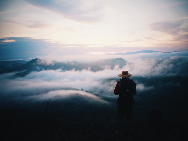 hiking, nature, trails, forest, mountains, adventure