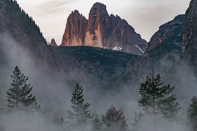 hiking, nature, trails, forest, mountains, adventure