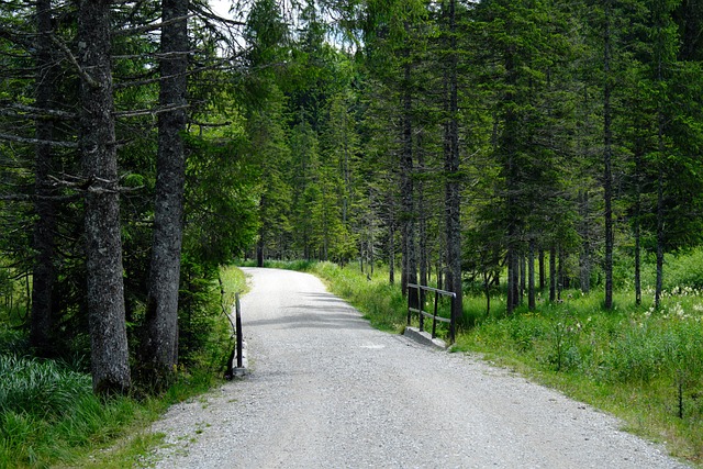 hiking-nature-trails-forest-mountains-ad-640x480-43760132.jpeg