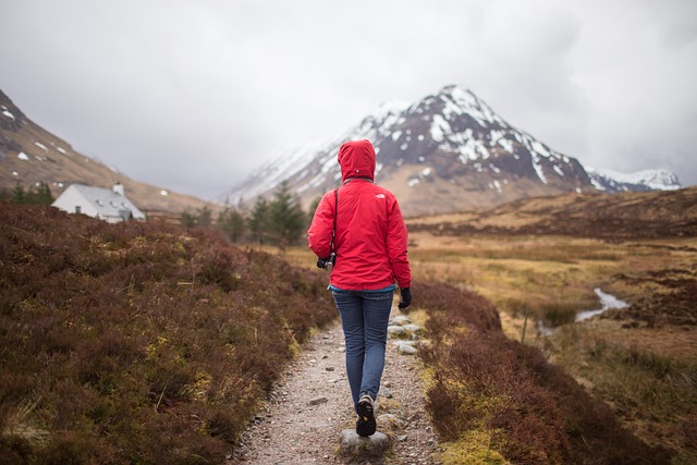 hiking, nature, trails, forest, mountains, adventure