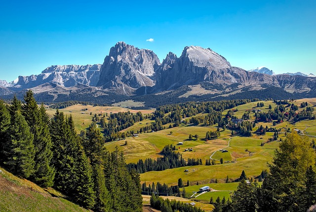 hiking, nature, trails, forest, mountains, adventure