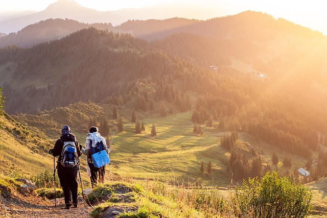 hiking-nature-trails-forest-mountains-ad-640x480-73509769.jpeg
