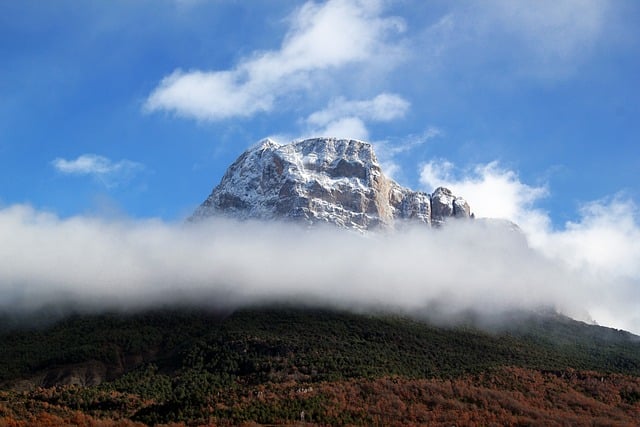 hiking, nature, trails, forest, mountains, adventure