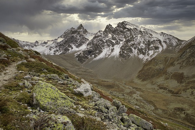 hiking, nature, trails, forest, mountains, adventure