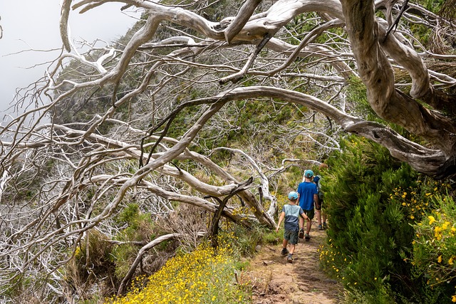 hiking-nature-trails-forest-mountains-ad-640x480-88909682.jpeg