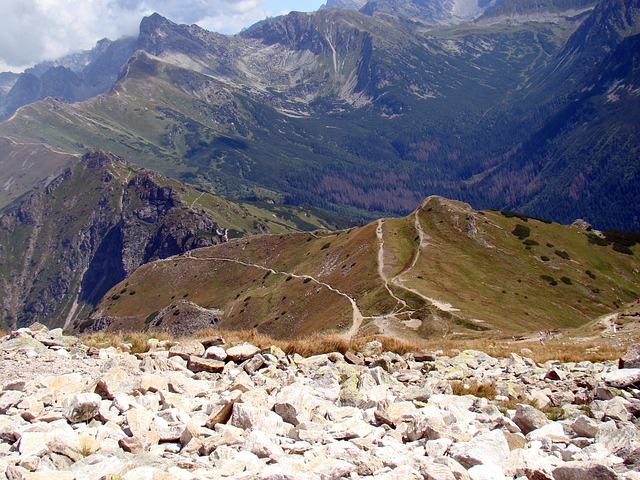 hiking, nature, trails, forest, mountains, adventure