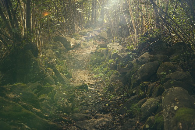hiking-trails-forest-mountains-waterfall-640x480-12355962.jpeg