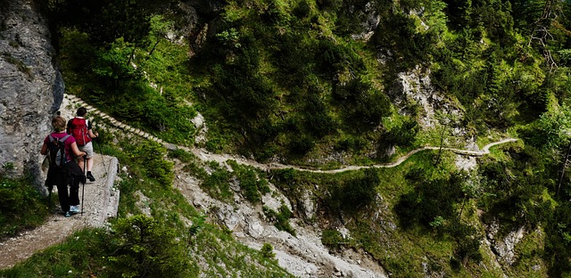 Hiking, Trails, Forest, Mountains, Waterfalls, Nature