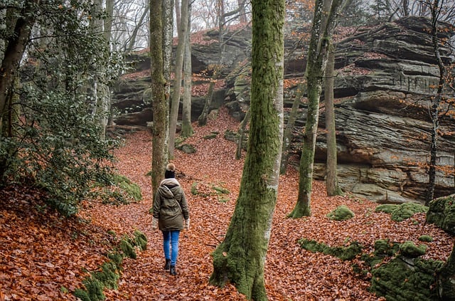 Hiking, Trails, Forest, Mountains, Waterfalls, Nature