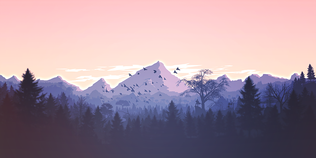 Hiking, Trails, Forest, Mountains, Waterfalls, Nature