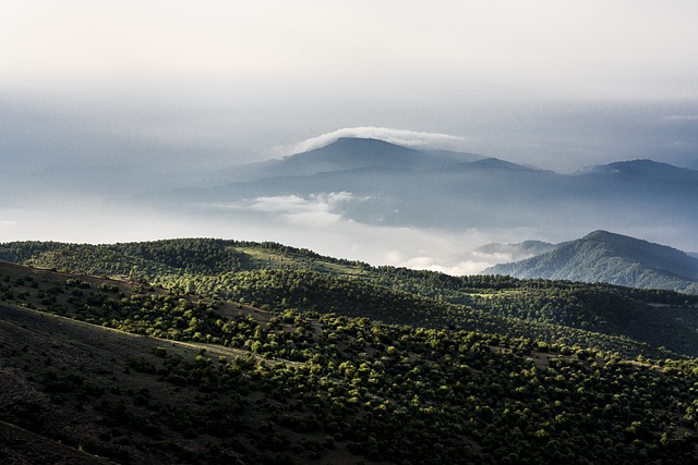 Hiking, Trails, Forest, Mountains, Waterfalls, Nature