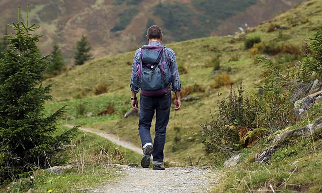 hiking-trails-forest-mountains-waterfall-640x480-51280917.jpeg