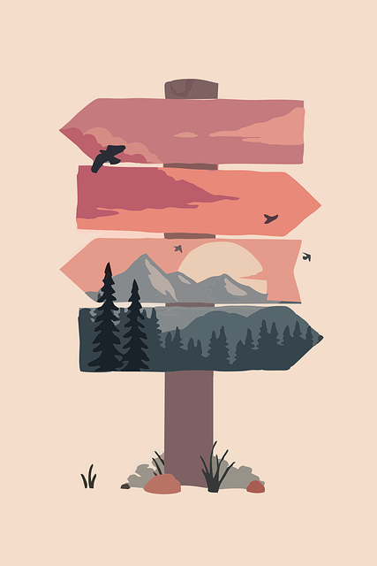 Hiking, Trails, Forest, Mountains, Waterfalls, Nature
