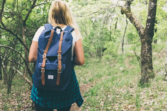 Hiking, Trails, Forest, Mountains, Waterfalls, Nature
