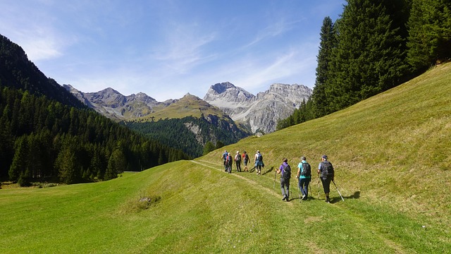 Hiking, Trails, Forest, Mountains, Waterfalls, Nature