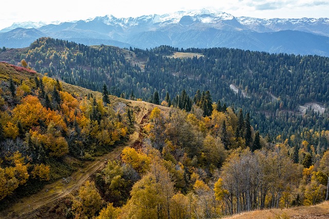 Hiking, Trails, Forest, Mountains, Waterfalls, Nature