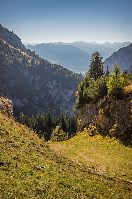 hiking-trails-forest-mountains-waterfall-640x480-7916296.jpeg