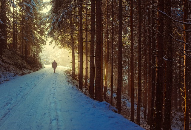 Hiking, Trails, Forest, Mountains, Waterfalls, Nature