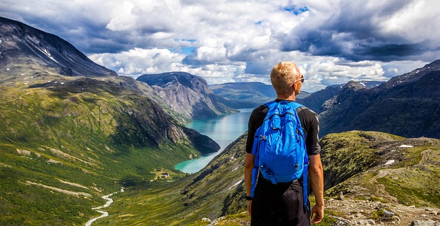 hiking, trails, nature, forest, wildlife, adventure
