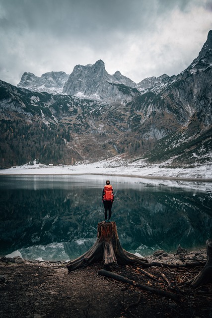 hiking, trails, nature, forest, wildlife, adventure