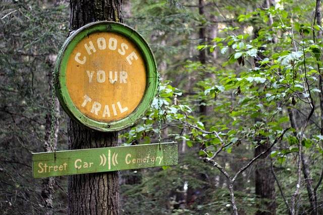 hiking, trails, nature, forest, wildlife, adventure