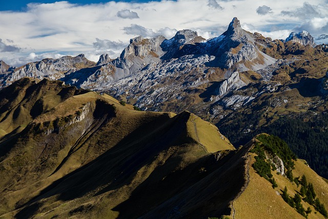 Uncover Florence’s Hidden Wilderness: Exploring Wildlife Trails for All Ages