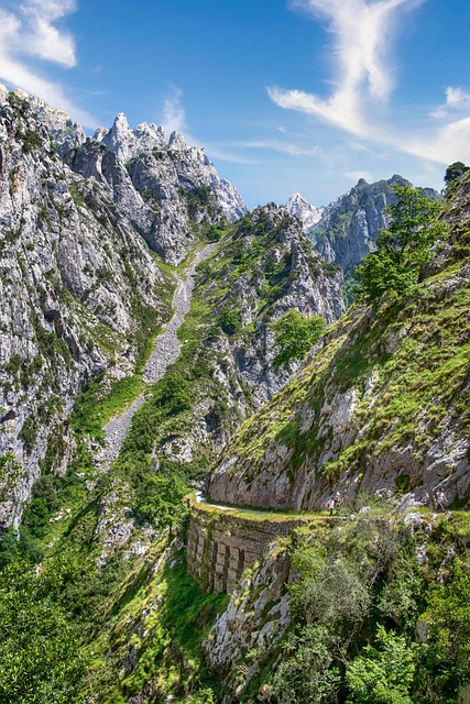 hiking, trails, nature, forest, wildlife, adventure