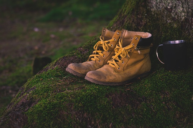 hiking, trails, nature, forest, wildlife, adventure