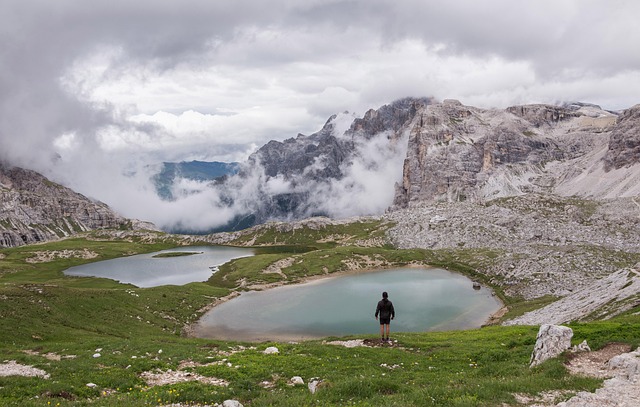 hiking, trails, nature, forest, wildlife, adventure