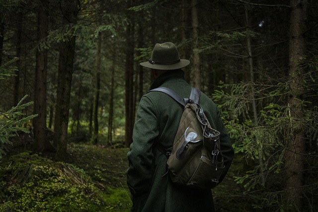 hiking, trails, nature, forest, wildlife, adventure