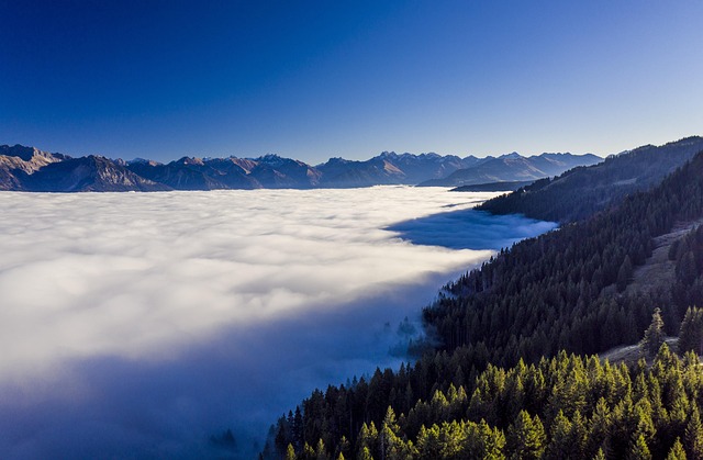 hiking, trails, nature, mountains, forests, scenic