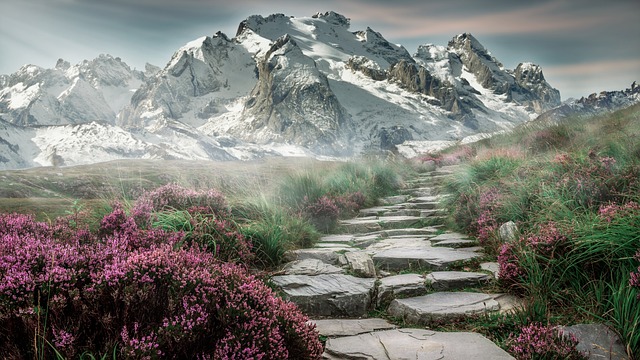 hiking, trails, nature, mountains, forests, scenic