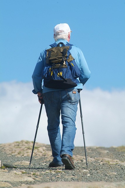 hiking, trails, nature, mountains, forests, scenic